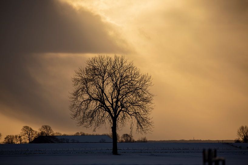 Sonnenuntergang in Nieuwe Statenzijl von Jan Sportel Photography