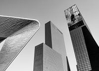 The three giants of Rotterdam