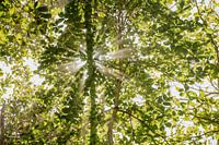 Photographie de voyage 