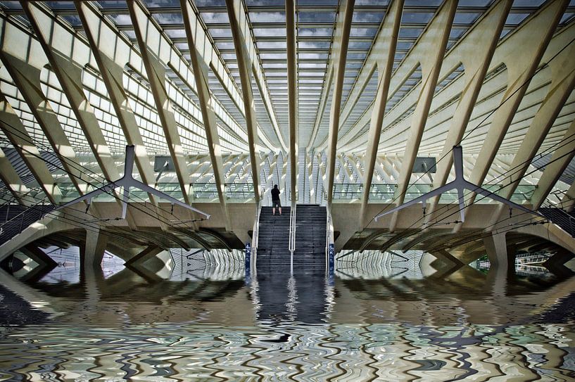 Streik von Jo Beerens