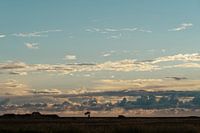 Wolkendecke über Ribe (2)