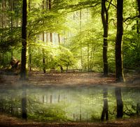 Ich kann es kaum erwarten.