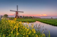 Lagenwaardse Molen, Koudekerk aan den Rijn,
