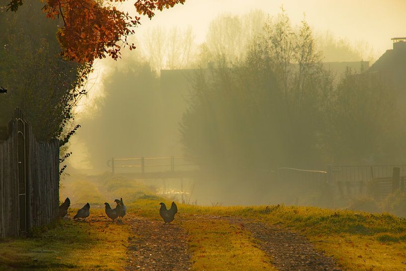 Landschaft 'Morgengrauen von Willy Sengers