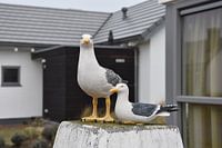 Statue de mouette