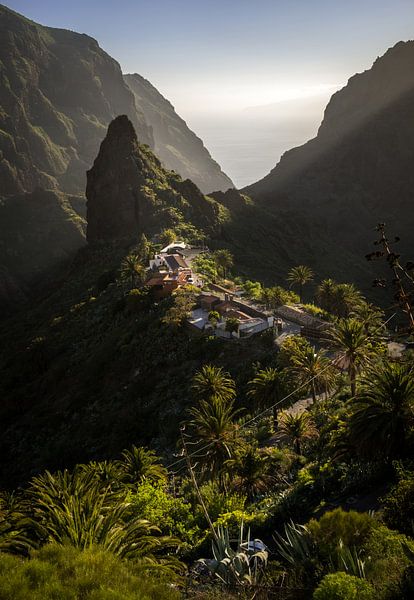 Masca by Jeroen Linnenkamp