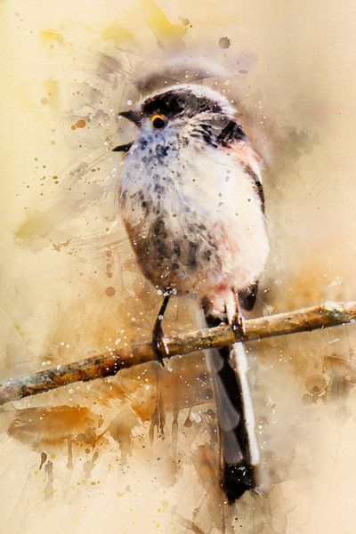 Pfeifende Langschwanzmeise (Kunst, Aquarell) von Art by Jeronimo