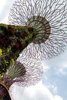 Modern architecture in the botanical garden in Singapore.