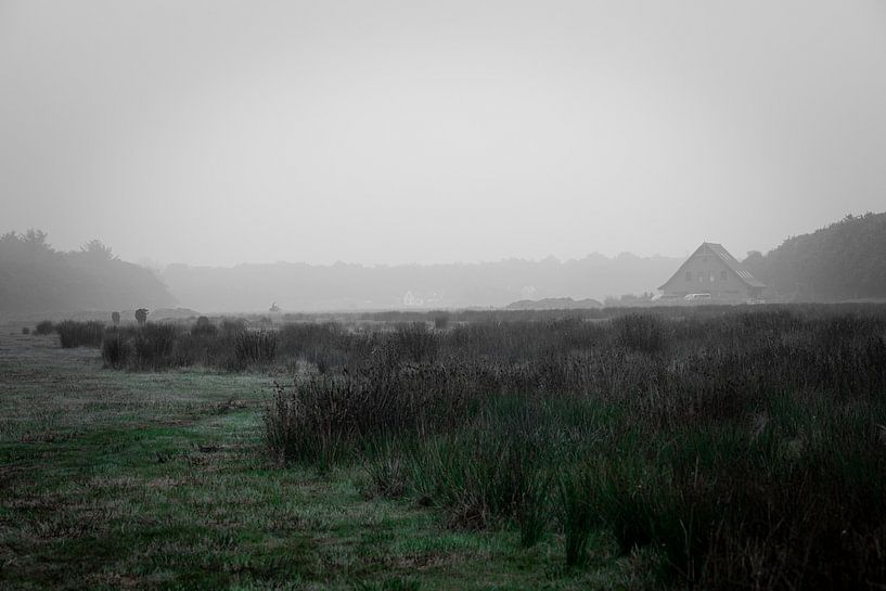 Morgennebel von Rolf Berends