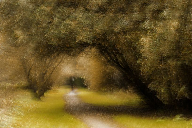Herbst im Wald von Ingrid Van Damme fotografie