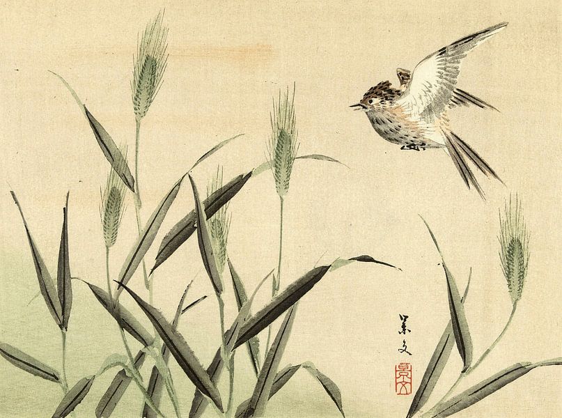 Bird flying near grasses by Matsumura Keibun - 1892 by Gave Meesters
