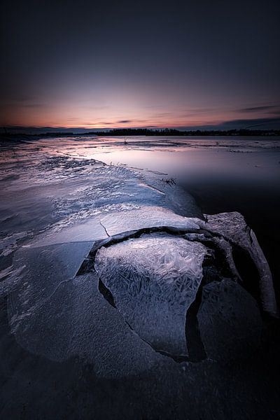 L'hiver dans le Biesbosch par Eddy Westdijk