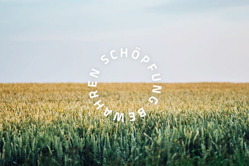 Schöpfung bewahren 01 Motiv Feld von Jonathan Schöps | UNDARSTELLBAR.DE — Visuelle Gedanken zu Gott