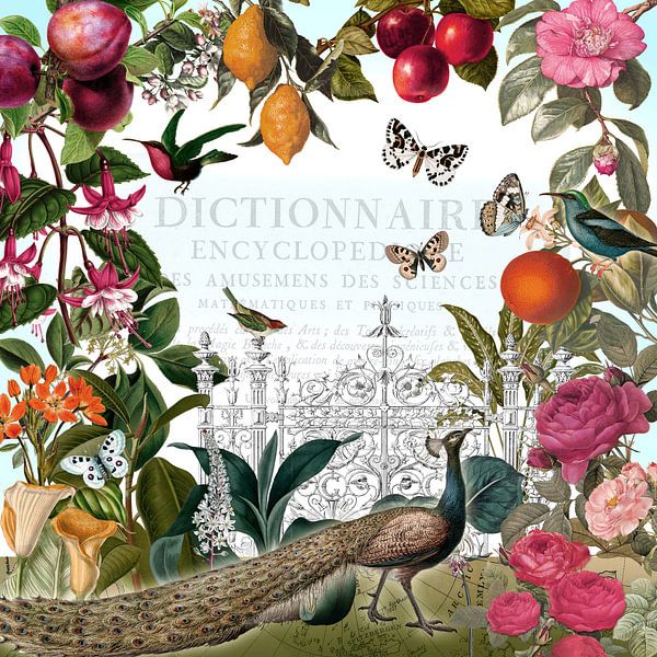 Im Garten des Pfauenkönigs von christine b-b müller