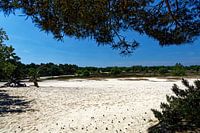 Drunense Dunes vista