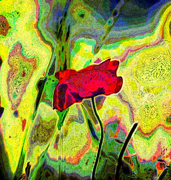 Impression de Poppy (impression de Poppy) par fb-fotografie