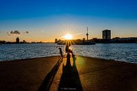 Rotterdam Wilhelminapier