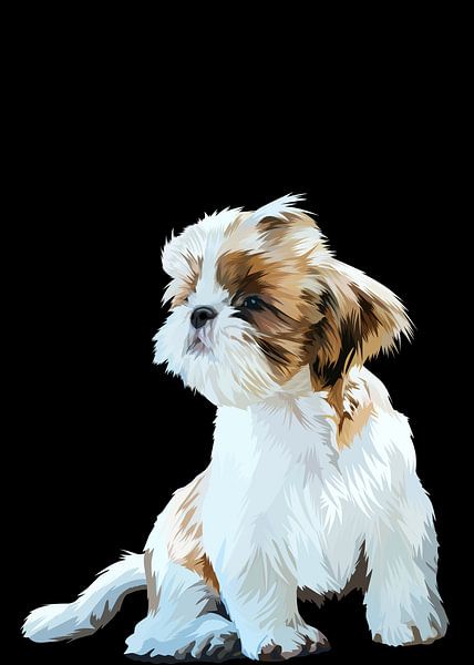 Shih tzu vector von IHSANUDDIN .