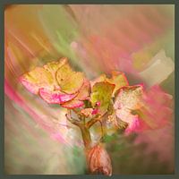 Romantisch rosa & grün