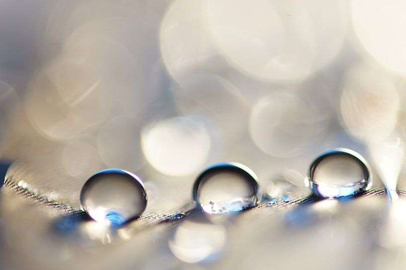 Water magic by Carla Mesken-Dijkhoff