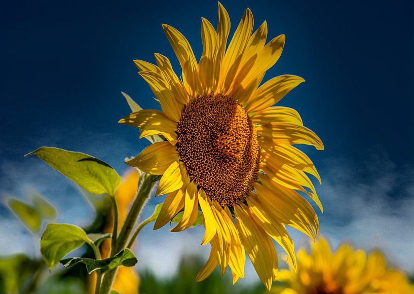 UKRAINE : Couleurs de l'Ukraine par Photoart-Naegele