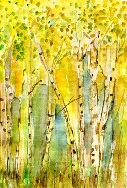 Birch grove by Claudia Gründler