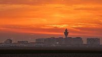 Schiphol Skyline during Golden Hour