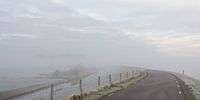Fog on the shellshank dike
