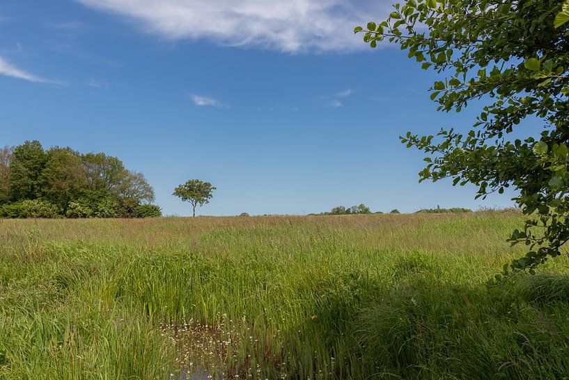 Groningen et Drenthe Veenkoloniën par Johan Mooibroek