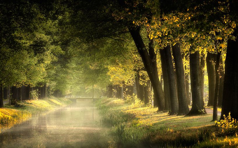 Lovely Day by Kees van Dongen