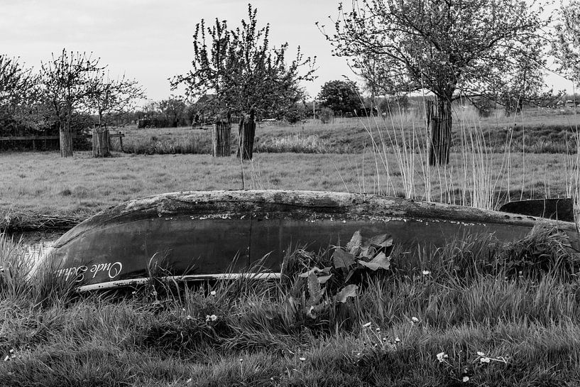 Alter Kahn von Bas Schneider