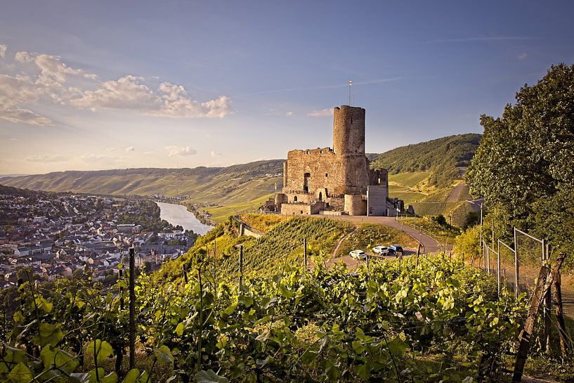 Burg Landshut by Rob Boon
