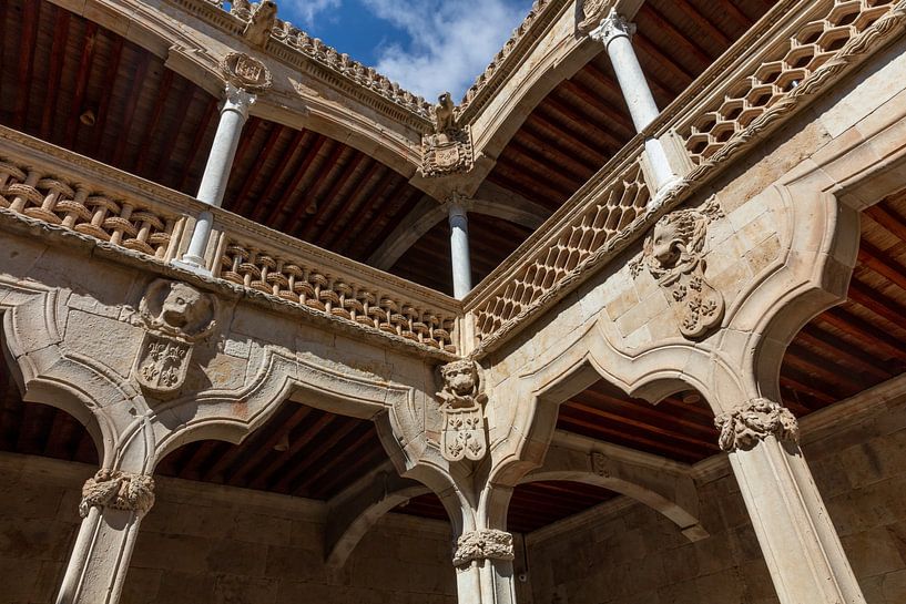 Gallery with lions at Casa de las Conchas in Salamanga by Joost Adriaanse