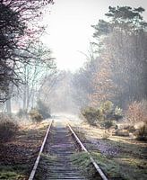 Borkensebaan im Winter