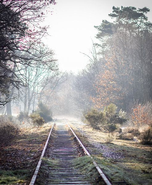 Borkensebaan im Winter von Hans Monasso