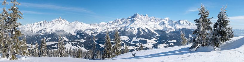 Mountain Panorama &quot;Dachstein in Winter&quot; by Coen Weesjes