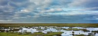 Panorama of a salt marsh landscape in Groningen