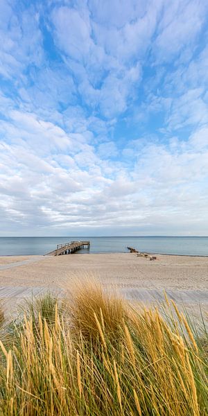 RETTIN Strandidylle von Melanie Viola