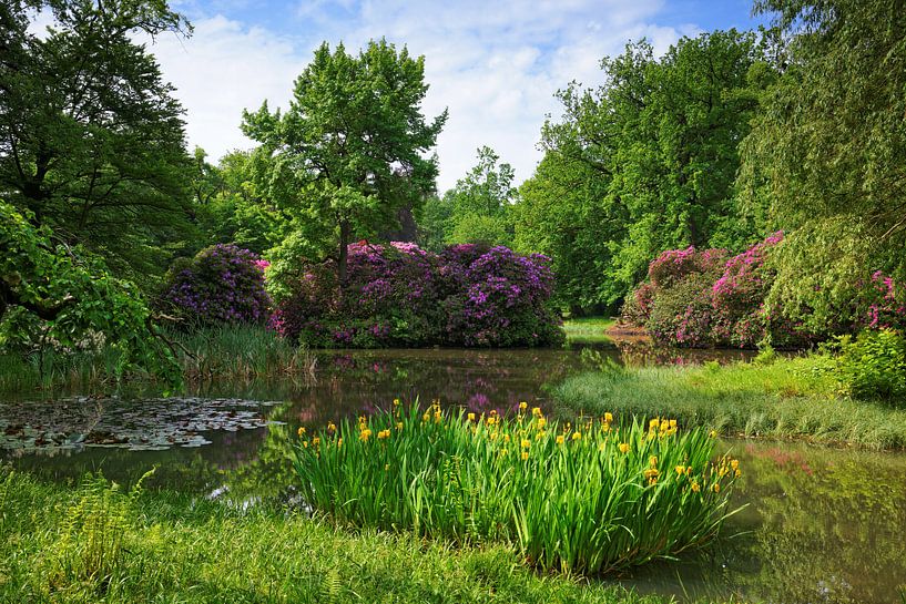 Blütentraum im Park von Gisela Scheffbuch