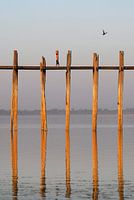 The lady on the bridge