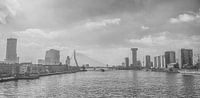 Skyline of Rotterdam