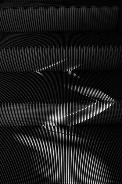 Lines II by Ilse Leijtens