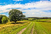 Landschaft bei Dürres But, Deutschland
