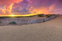 Prachtige kleurrijke zonsondergang na onweersbui in duinen bij Kijkduin en Scheveningen