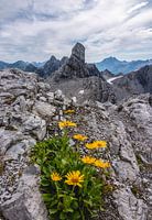 Alpen, Sankt Anton am Arlberg