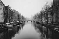 Amsterdam Fog