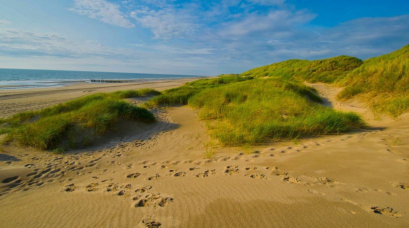 Strand in Camperduin in Nederland van Tanja Voigt