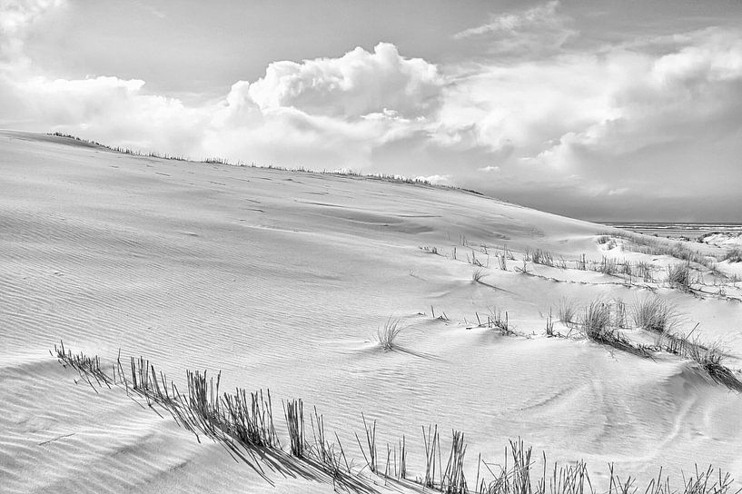 Kust Duinen Zwart Wit par Jan Brons