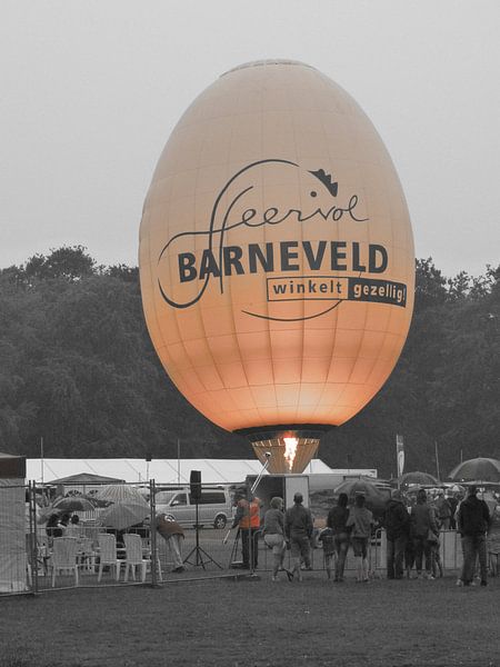 Het ei uit Barneveld  by Veluws