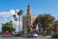 Torre del Oro (Tour de l'or) à Séville